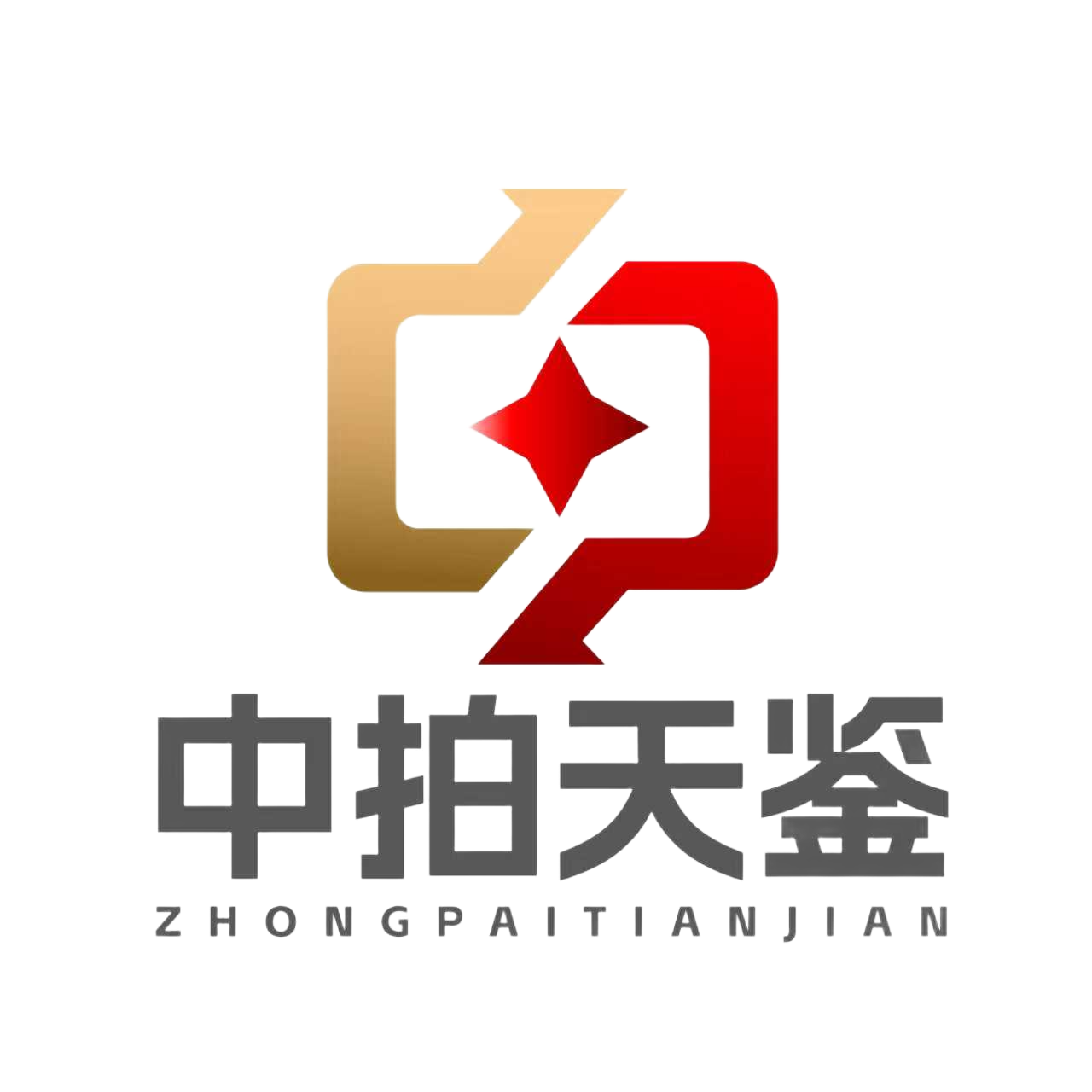 中拍天鉴logo